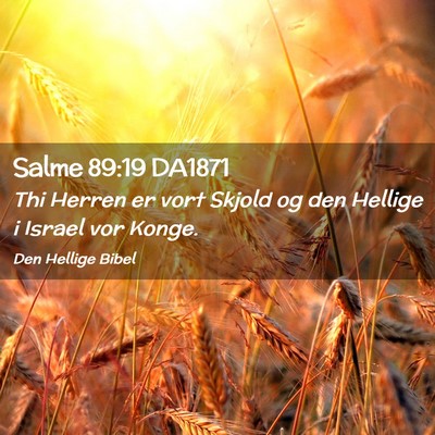 Picture 02 - Salme 89:19 DA1871 - Thi Herren er vort Skjold og den Hellige i Israel - Bible Verse Picture