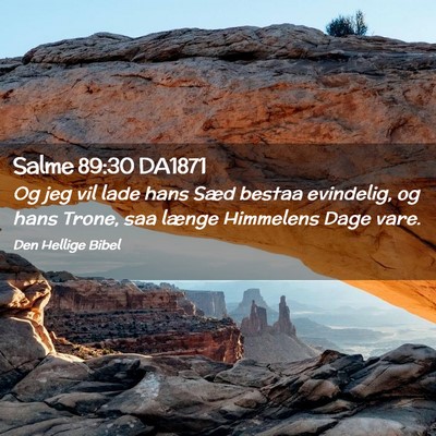 Picture 02 - Salme 89:30 DA1871 - Og jeg vil lade hans Sæd bestaa evindelig, og - Bible Verse Picture