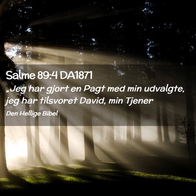 Picture 02 - Salme 89:4 DA1871 - „Jeg har gjort en Pagt med min udvalgte, jeg - Bible Verse Picture