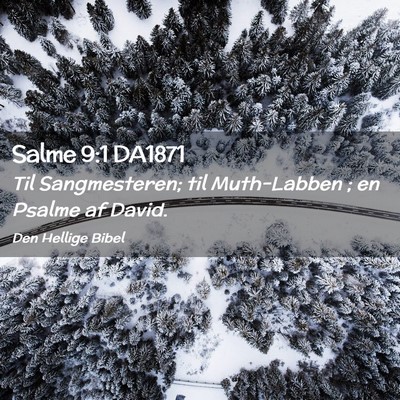 Picture 02 - Salme 9:1 DA1871 - Til Sangmesteren; til Muth-Labben ; en Psalme af - Bible Verse Picture