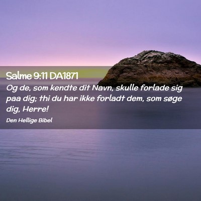 Picture 02 - Salme 9:11 DA1871 - Og de, som kendte dit Navn, skulle forlade sig - Bible Verse Picture