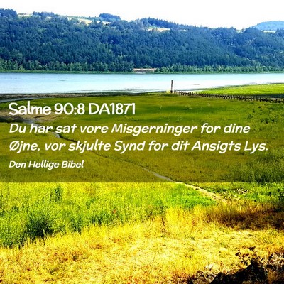 Picture 02 - Salme 90:8 DA1871 - Du har sat vore Misgerninger for dine Øjne, vor - Bible Verse Picture