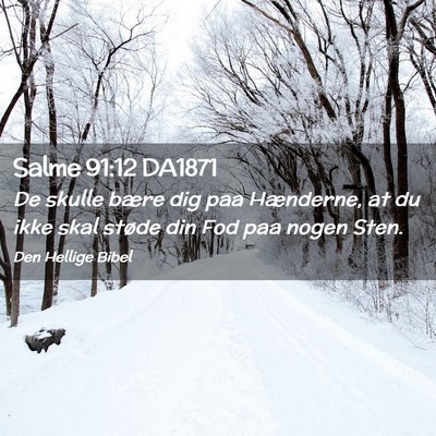 Picture 02 - Salme 91:12 DA1871 - De skulle bære dig paa Hænderne, at du ikke - Bible Verse Picture
