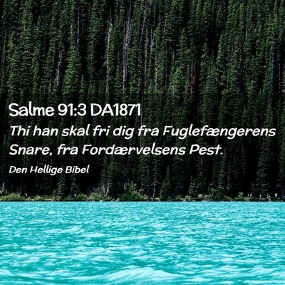 Picture 02 - Salme 91:3 DA1871 - Thi han skal fri dig fra Fuglefængerens Snare, - Bible Verse Picture