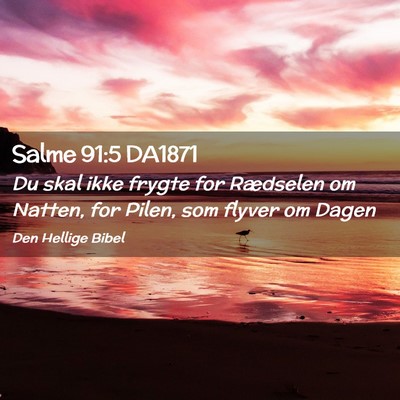 Picture 02 - Salme 91:5 DA1871 - Du skal ikke frygte for Rædselen om Natten, for - Bible Verse Picture