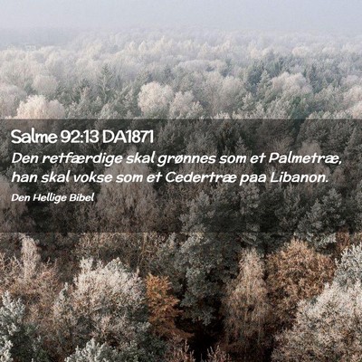 Picture 02 - Salme 92:13 DA1871 - Den retfærdige skal grønnes som et Palmetræ, - Bible Verse Picture