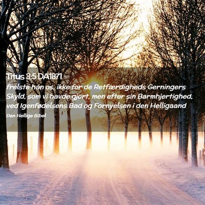 Picture 02 - Titus 3:5 DA1871 - frelste han os, ikke for de Retfærdigheds - Bible Verse Picture