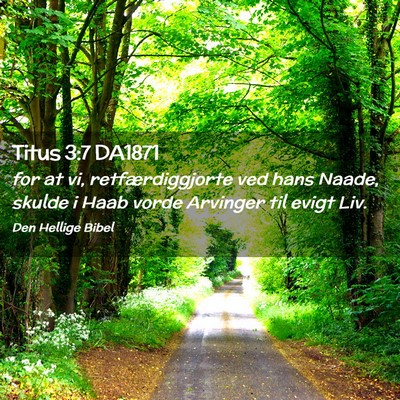 Picture 02 - Titus 3:7 DA1871 - for at vi, retfærdiggjorte ved hans Naade, - Bible Verse Picture