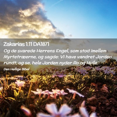 Picture 02 - Zakarias 1:11 DA1871 - Og de svarede Herrens Engel, som stod imellem - Bible Verse Picture