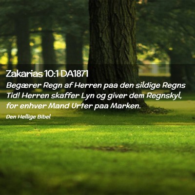 Picture 02 - Zakarias 10:1 DA1871 - Begærer Regn af Herren paa den sildige Regns - Bible Verse Picture