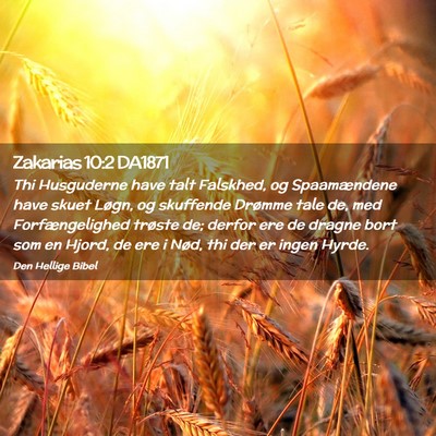 Picture 02 - Zakarias 10:2 DA1871 - Thi Husguderne have talt Falskhed, og - Bible Verse Picture
