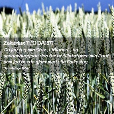 Picture 02 - Zakarias 11:10 DA1871 - Og jeg tog min Stav „Liflighed‟, og - Bible Verse Picture
