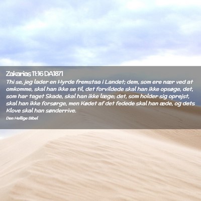 Picture 02 - Zakarias 11:16 DA1871 - Thi se, jeg lader en Hyrde fremstaa i Landet; - Bible Verse Picture