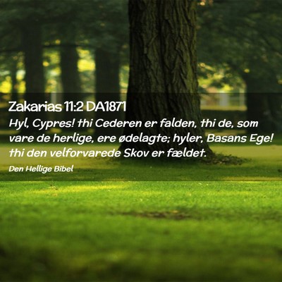 Picture 02 - Zakarias 11:2 DA1871 - Hyl, Cypres! thi Cederen er falden, thi de, som - Bible Verse Picture