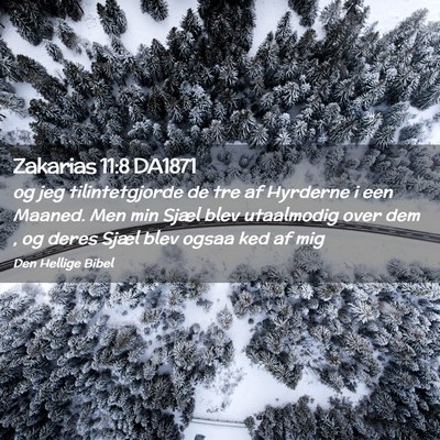 Picture 02 - Zakarias 11:8 DA1871 - og jeg tilintetgjorde de tre af Hyrderne i een - Bible Verse Picture