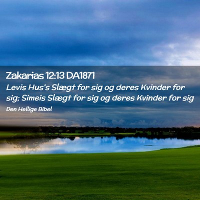 Picture 02 - Zakarias 12:13 DA1871 - Levis Hus's Slægt for sig og deres Kvinder for - Bible Verse Picture