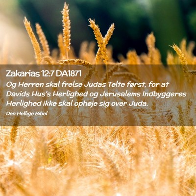 Picture 02 - Zakarias 12:7 DA1871 - Og Herren skal frelse Judas Telte først, for at - Bible Verse Picture