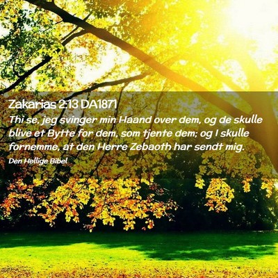 Picture 02 - Zakarias 2:13 DA1871 - Thi se, jeg svinger min Haand over dem, og de - Bible Verse Picture