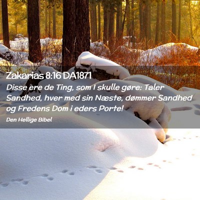 Picture 02 - Zakarias 8:16 DA1871 - Disse ere de Ting, som I skulle gøre: Taler - Bible Verse Picture