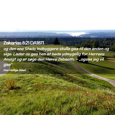 Picture 02 - Zakarias 8:21 DA1871 - og den ene Stads Indbyggere skulle gaa til den - Bible Verse Picture
