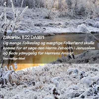 Picture 02 - Zakarias 8:22 DA1871 - Og mange Folkeslag og mægtige Folkefærd skulle - Bible Verse Picture