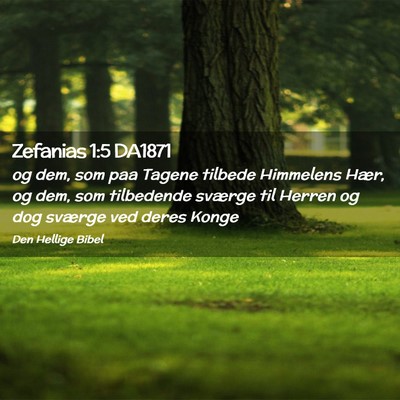 Picture 02 - Zefanias 1:5 DA1871 - og dem, som paa Tagene tilbede Himmelens Hær, og - Bible Verse Picture
