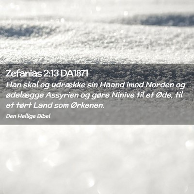 Picture 02 - Zefanias 2:13 DA1871 - Han skal og udrække sin Haand imod Norden og - Bible Verse Picture
