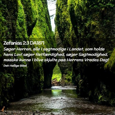 Picture 02 - Zefanias 2:3 DA1871 - Søger Herren, alle I sagtmodige i Landet, som - Bible Verse Picture