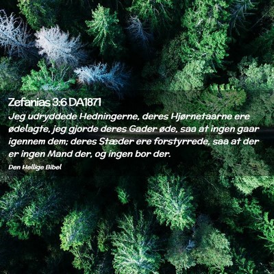 Picture 02 - Zefanias 3:6 DA1871 - Jeg udryddede Hedningerne, deres Hjørnetaarne - Bible Verse Picture
