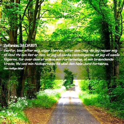 Picture 02 - Zefanias 3:8 DA1871 - Derfor, bier efter mig, siger Herren, efter den - Bible Verse Picture