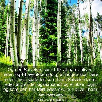 Picture 03 - 1 Johannes 2:27 DA1871 - Og den Salvelse, som I fik af ham, bliver i eder, - Bible Verse Picture