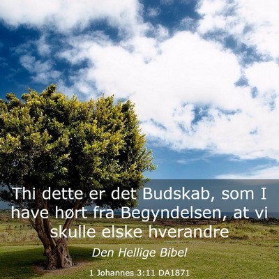 Picture 03 - 1 Johannes 3:11 DA1871 - Thi dette er det Budskab, som I have hørt fra - Bible Verse Picture
