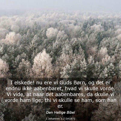 Picture 03 - 1 Johannes 3:2 DA1871 - I elskede! nu ere vi Guds Børn, og det er endnu - Bible Verse Picture
