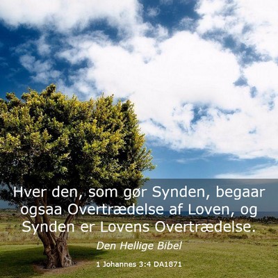 Picture 03 - 1 Johannes 3:4 DA1871 - Hver den, som gør Synden, begaar ogsaa - Bible Verse Picture