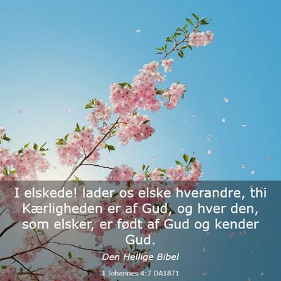 Picture 03 - 1 Johannes 4:7 DA1871 - I elskede! lader os elske hverandre, thi - Bible Verse Picture