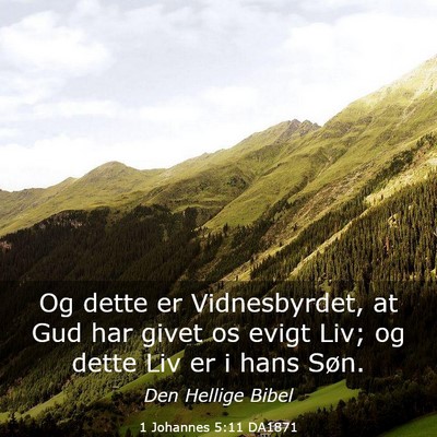 Picture 03 - 1 Johannes 5:11 DA1871 - Og dette er Vidnesbyrdet, at Gud har givet os - Bible Verse Picture