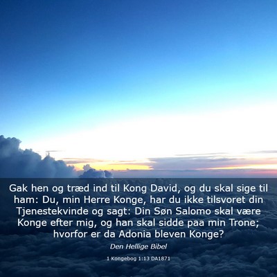 Picture 03 - 1 Kongebog 1:13 DA1871 - Gak hen og træd ind til Kong David, og du skal - Bible Verse Picture