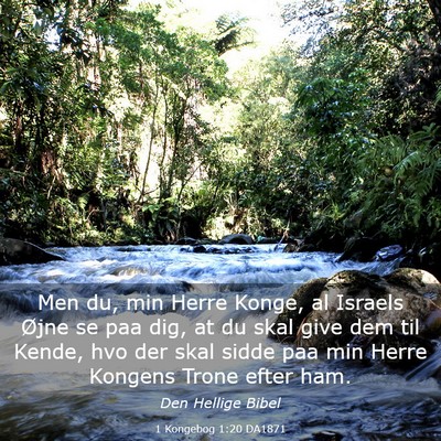 Picture 03 - 1 Kongebog 1:20 DA1871 - Men du, min Herre Konge, al Israels Øjne se paa - Bible Verse Picture