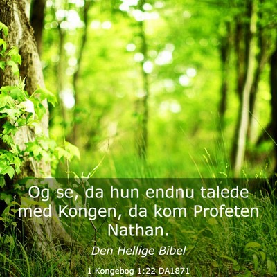 Picture 03 - 1 Kongebog 1:22 DA1871 - Og se, da hun endnu talede med Kongen, da kom - Bible Verse Picture