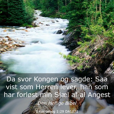Picture 03 - 1 Kongebog 1:29 DA1871 - Da svor Kongen og sagde: Saa vist som Herren - Bible Verse Picture