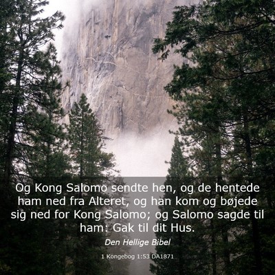 Picture 03 - 1 Kongebog 1:53 DA1871 - Og Kong Salomo sendte hen, og de hentede ham ned - Bible Verse Picture