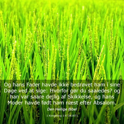 Picture 03 - 1 Kongebog 1:6 DA1871 - Og hans Fader havde ikke bedrøvet ham i sine - Bible Verse Picture