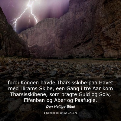 Picture 03 - 1 Kongebog 10:22 DA1871 - fordi Kongen havde Tharsisskibe paa Havet med - Bible Verse Picture