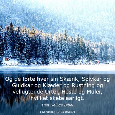 Picture 03 - 1 Kongebog 10:25 DA1871 - Og de førte hver sin Skænk, Sølvkar og Guldkar - Bible Verse Picture