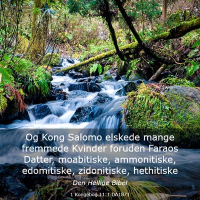 Picture 03 - 1 Kongebog 11:1 DA1871 - Og Kong Salomo elskede mange fremmede Kvinder - Bible Verse Picture