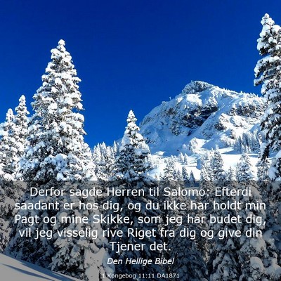 Picture 03 - 1 Kongebog 11:11 DA1871 - Derfor sagde Herren til Salomo: Efterdi saadant - Bible Verse Picture