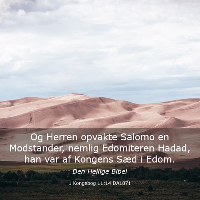 Picture 03 - 1 Kongebog 11:14 DA1871 - Og Herren opvakte Salomo en Modstander, nemlig - Bible Verse Picture