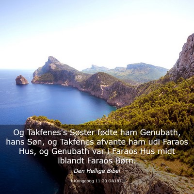 Picture 03 - 1 Kongebog 11:20 DA1871 - Og Takfenes's Søster fødte ham Genubath, hans - Bible Verse Picture