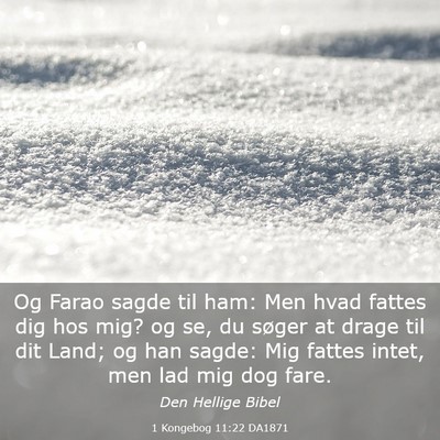 Picture 03 - 1 Kongebog 11:22 DA1871 - Og Farao sagde til ham: Men hvad fattes dig hos - Bible Verse Picture