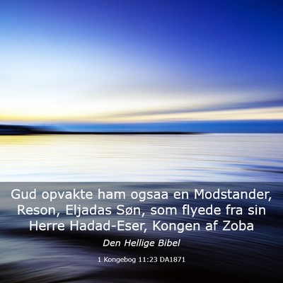 Picture 03 - 1 Kongebog 11:23 DA1871 - Gud opvakte ham ogsaa en Modstander, Reson, - Bible Verse Picture